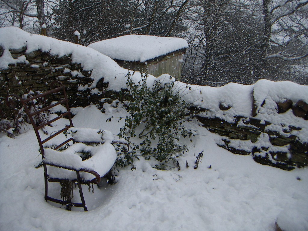 Curlywurly chair in the snow.