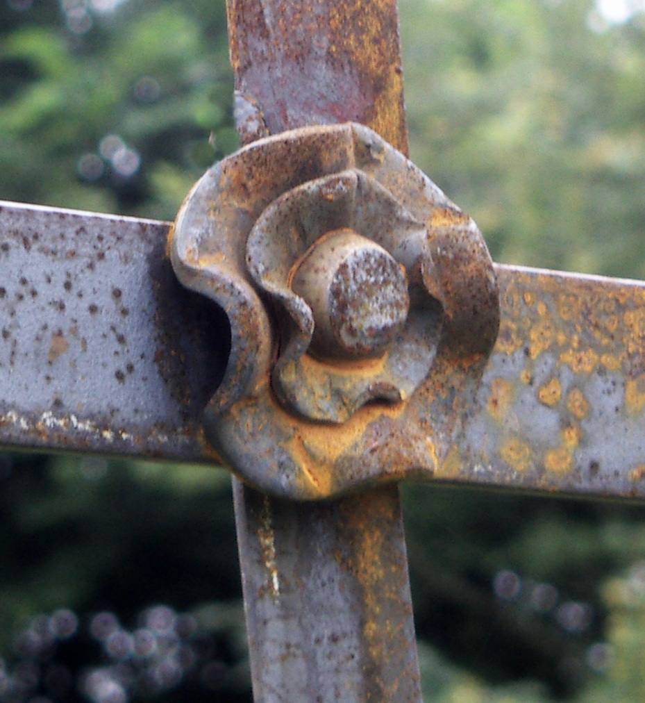 Lancashire rose rivethead.